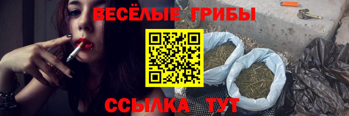 Галлюциногенные грибы Psilocybine cubensis Аксай